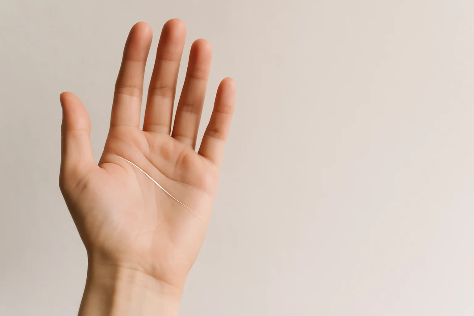 Die Kopflinie: Wie wir denken, entscheiden und Klarheit finden